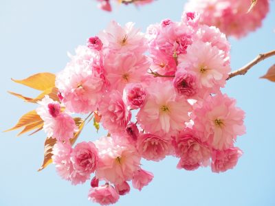 It’s okay to break these 3 traditional confinement practices